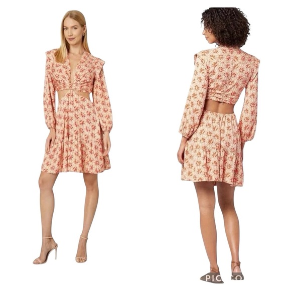 Joie Maeve Long Sleeve Floral Cut Out Mini Dress - Picture 1 of 8